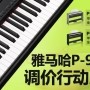 凯发k8国际P-95数码钢琴，调价行动即日展开 